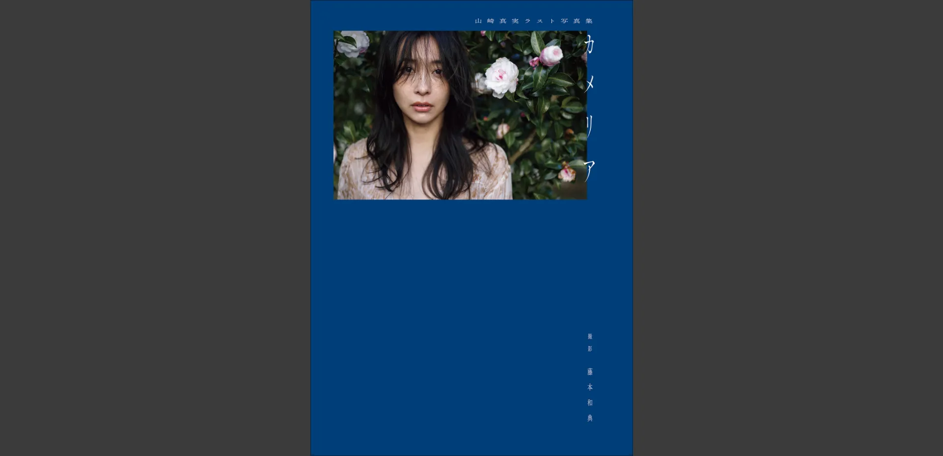 引退ヘアヌード写真集